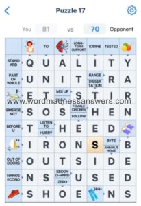 Crossword Master Puzzle 17