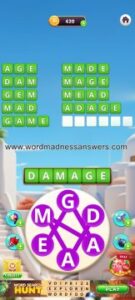 word madness level 369